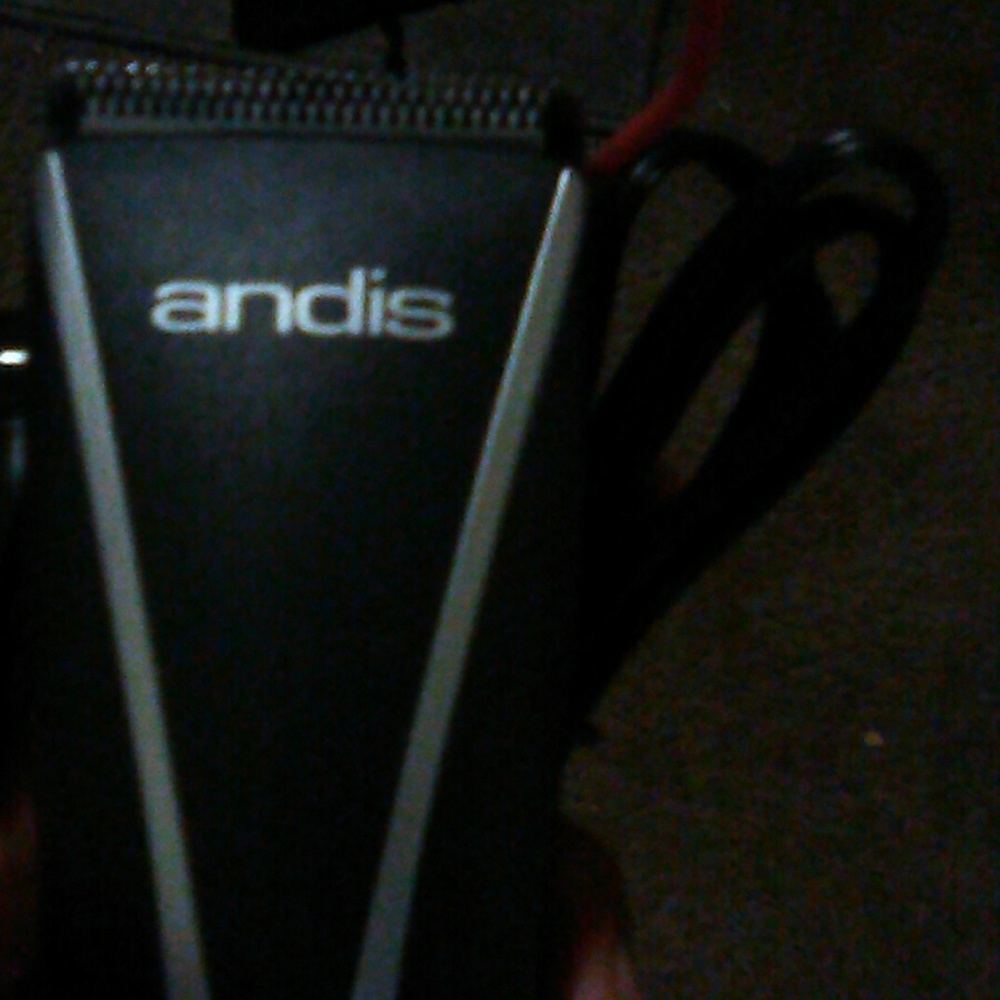Clippers - Picture 2 of 2